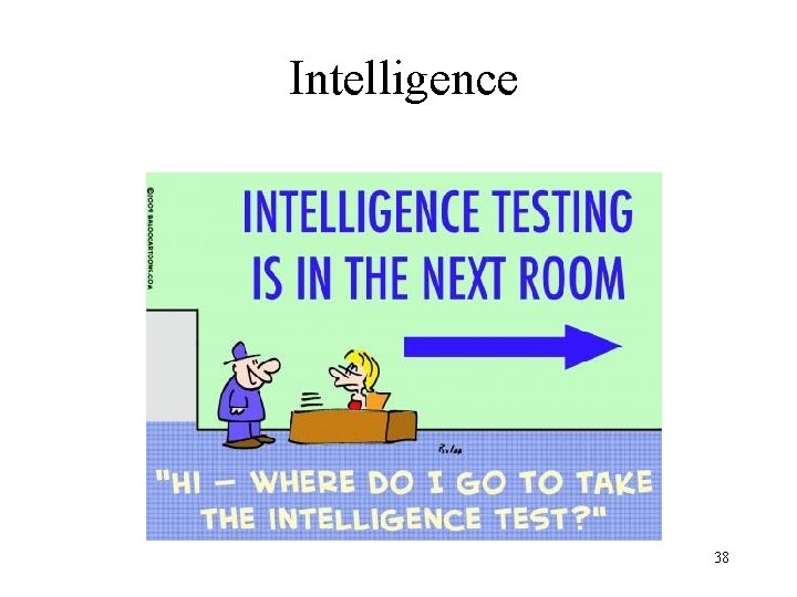 Intelligence 38 