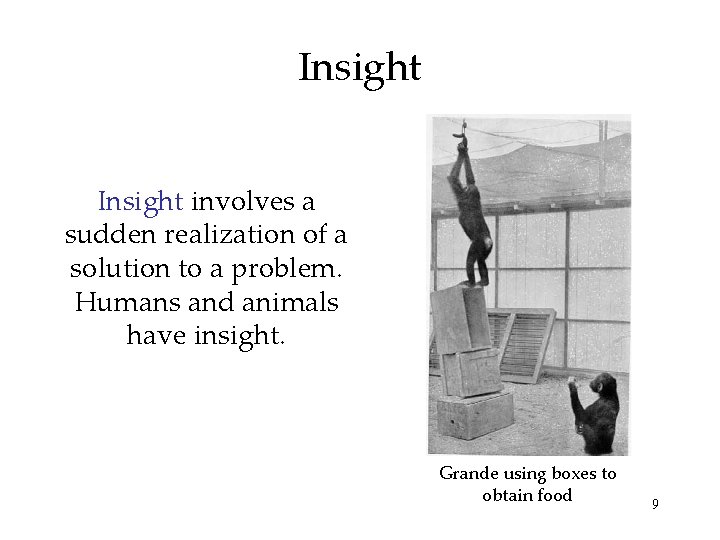 Insight involves a sudden realization of a solution to a problem. Humans and animals