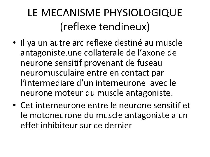 LE MECANISME PHYSIOLOGIQUE (reflexe tendineux) • Il ya un autre arc reflexe destiné au