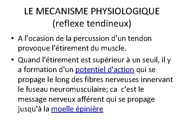 LE MECANISME PHYSIOLOGIQUE (reflexe tendineux) • A l’ocasion de la percussion d’un tendon provoque