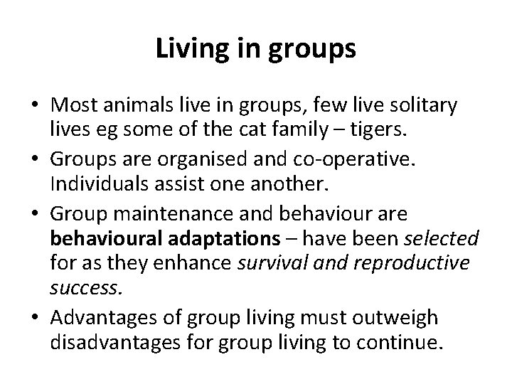 Living in groups • Most animals live in groups, few live solitary lives eg
