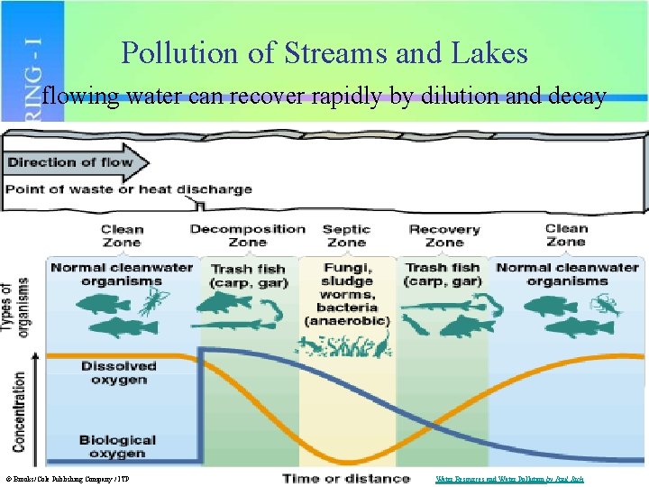 Pollution of Streams and Lakes flowing water can recover rapidly by dilution and decay