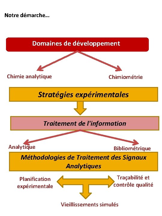 Notre démarche… Domaines de développement Chimie analytique Chimiométrie Stratégies expérimentales Traitement de l'information Analytique