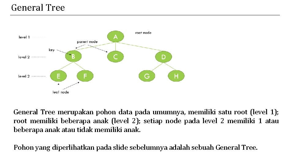 General Tree merupakan pohon data pada umumnya, memiliki satu root (level 1); root memiliki