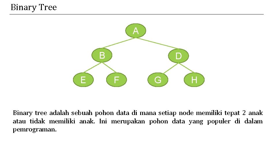 Binary Tree A B E D F G H Binary tree adalah sebuah pohon