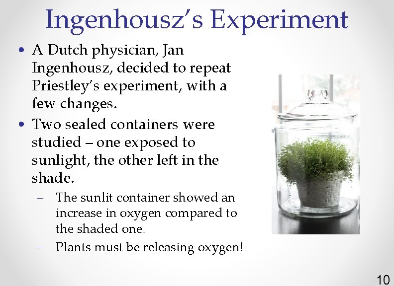 Ingenhousz’s Experiment • A Dutch physician, Jan Ingenhousz, decided to repeat Priestley’s experiment, with