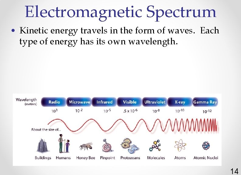 Electromagnetic Spectrum • Kinetic energy travels in the form of waves. Each type of