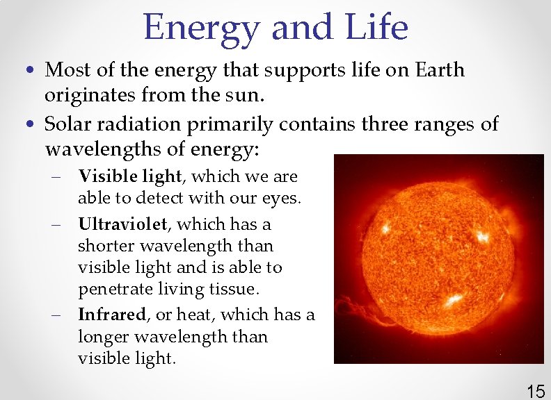 Energy and Life • Most of the energy that supports life on Earth originates