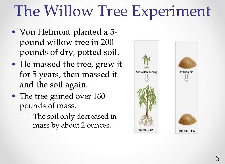 The Willow Tree Experiment • Von Helmont planted a 5 pound willow tree in