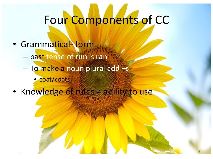 Four Components of CC • Grammatical- form – past tense of run is ran