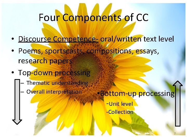 Four Components of CC • Discourse Competence- oral/written text level • Poems, sportscasts, compositions,