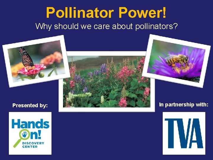Pollinator Power! Why should we care about pollinators? Presented by: In partnership with: 