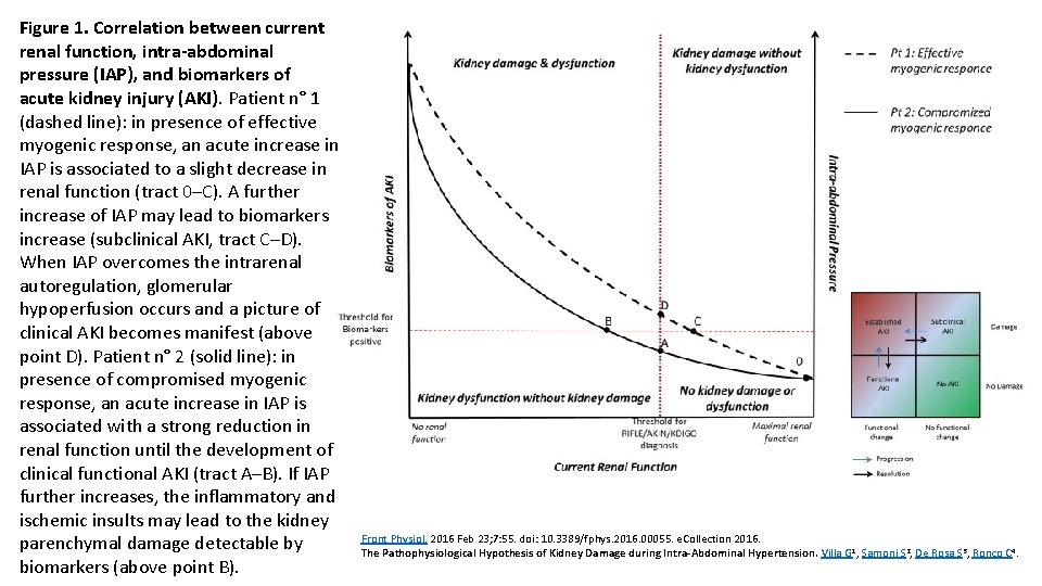 Figure 1. Correlation between current renal function, intra-abdominal pressure (IAP), and biomarkers of acute