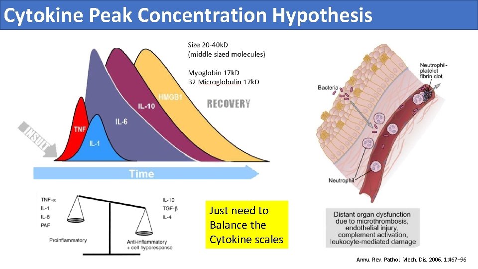 Cytokine Peak Concentration Hypothesis Just need to Balance the Cytokine scales Annu. Rev. Pathol.
