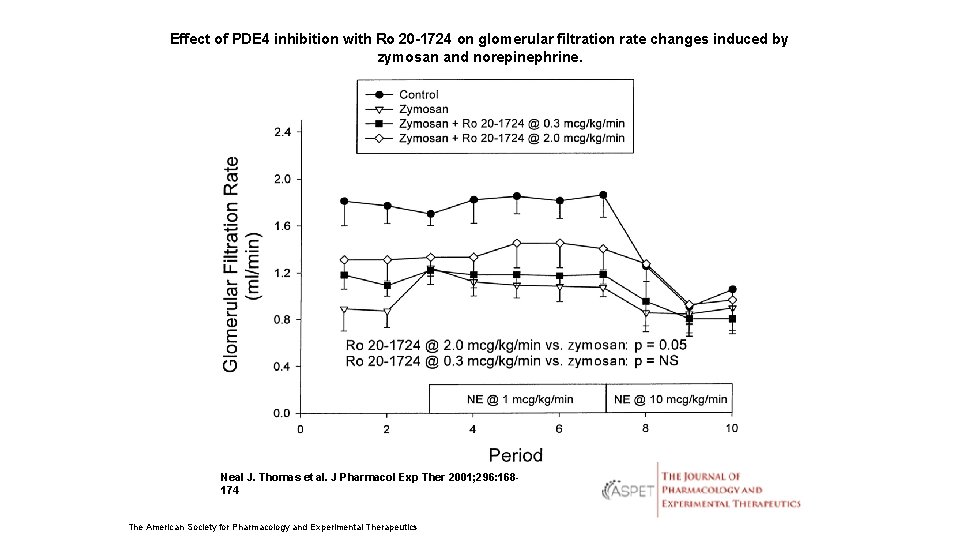 Effect of PDE 4 inhibition with Ro 20 -1724 on glomerular filtration rate changes