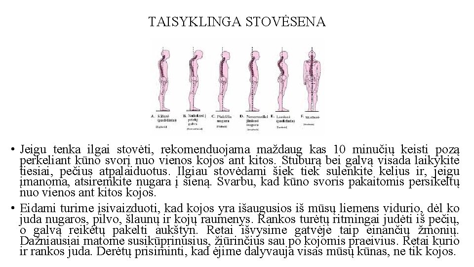 TAISYKLINGA STOVĖSENA • Jeigu tenka ilgai stovėti, rekomenduojama maždaug kas 10 minučių keisti pozą