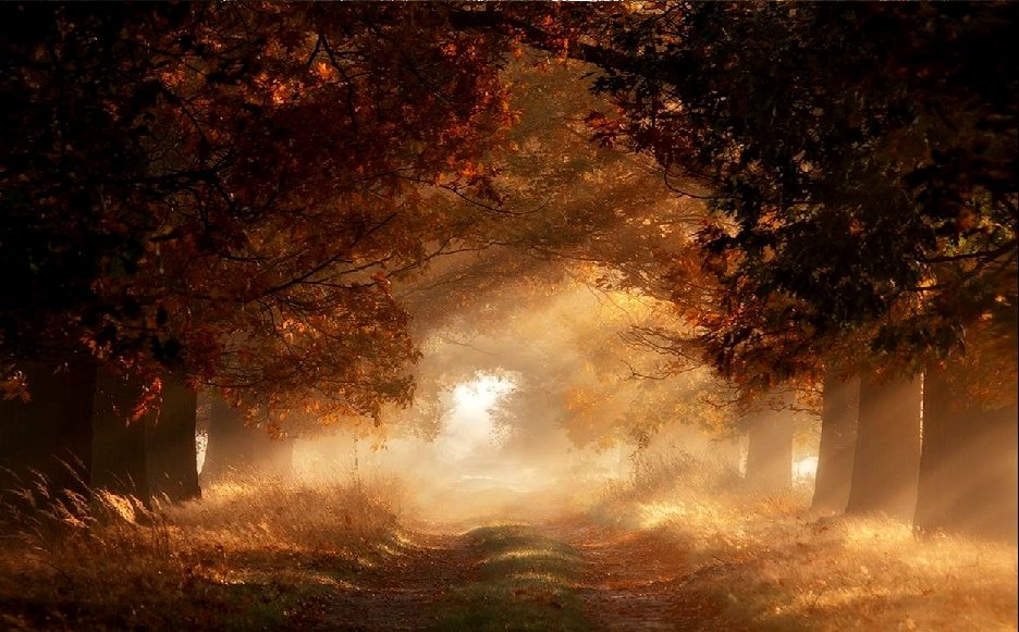 Vivre à Moitié Ne fréquente pas ceux qui sont à moitié amoureux, Ne sois