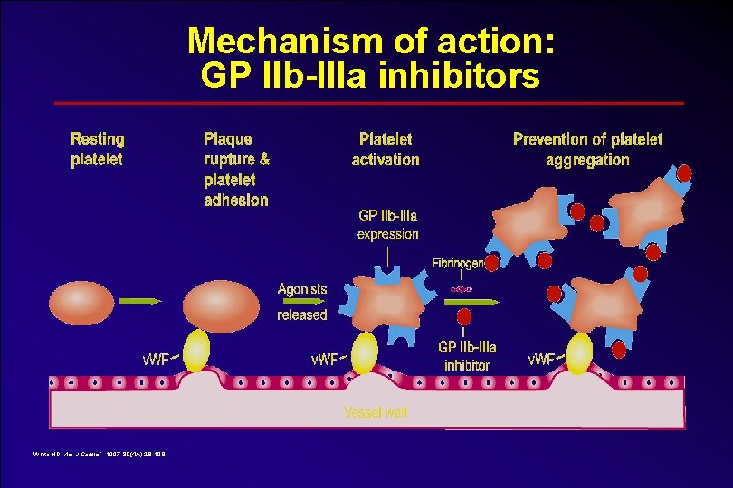 Mechanism of action: GP IIb-IIIa inhibitors White HD. Am J Cardiol. 1997; 80(4 A):