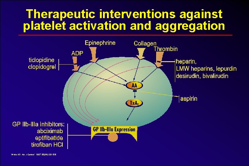 Therapeutic interventions against platelet activation and aggregation White HD. Am J Cardiol. 1997; 80(4