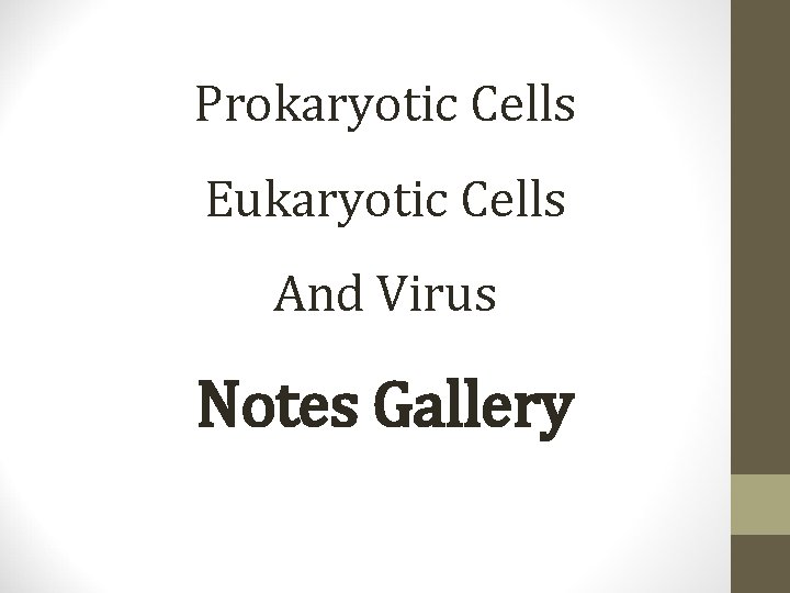 Prokaryotic Cells Eukaryotic Cells And Virus Notes Gallery 