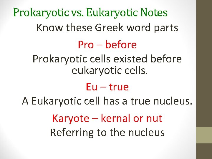 Prokaryotic vs. Eukaryotic Notes Know these Greek word parts Pro – before Prokaryotic cells