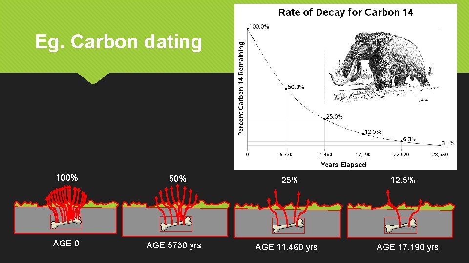 Eg. Carbon dating 100% AGE 0 50% AGE 5730 yrs 25% AGE 11, 460