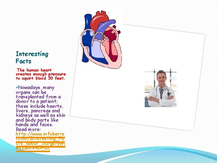 Interesting Facts The human heart creates enough pressure to squirt blood 30 feet. §