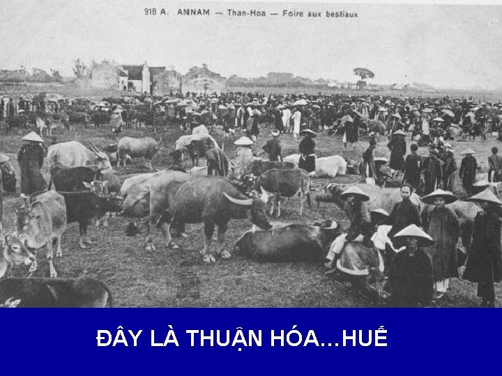 Đ Y LÀ THUẬN HÓA…HUẾ 