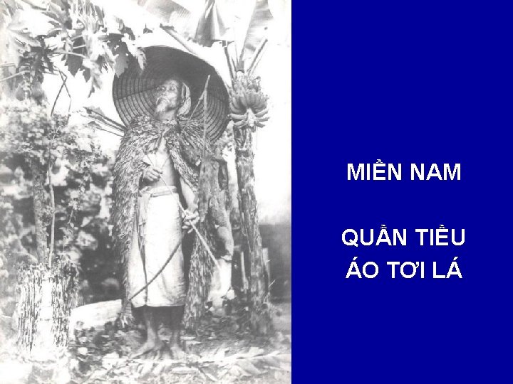 MIỀN NAM QUẦN TIỀU ÁO TƠI LÁ 