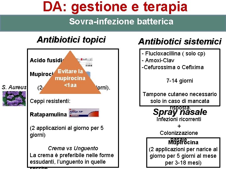 DA: gestione e terapia Sovra-infezione batterica Antibiotici topici Acido fusidico Mupirocina. Evitare la mupirocina