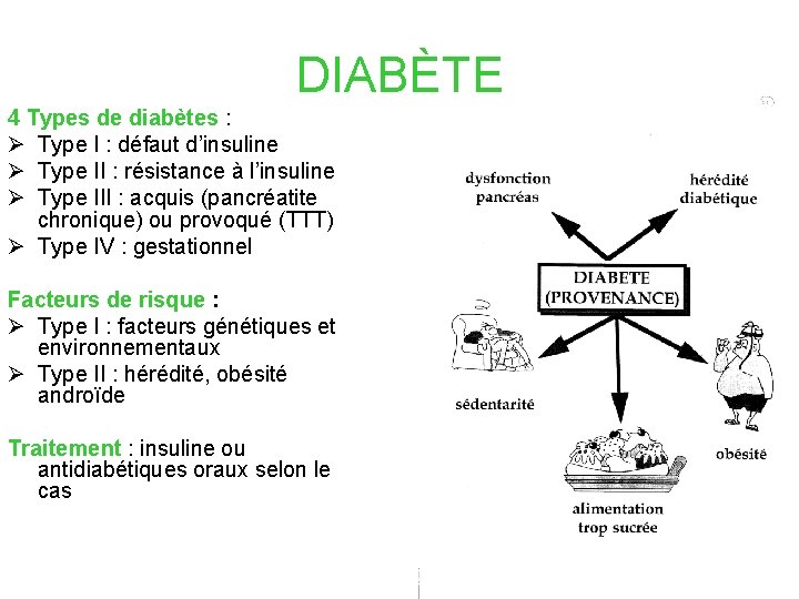 DIABÈTE 4 Types de diabètes : Ø Type I : défaut d’insuline Ø Type