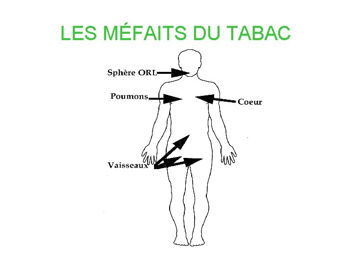 LES MÉFAITS DU TABAC LES MÉFAITS DU TABAC