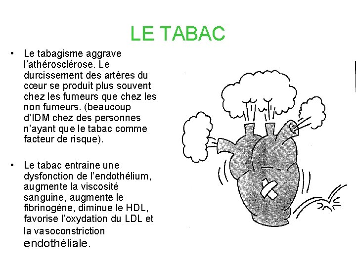 LE TABAC • Le tabagisme aggrave l’athérosclérose. Le durcissement des artères du cœur se