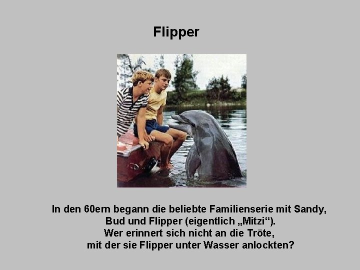 Flipper In den 60 ern begann die beliebte Familienserie mit Sandy, Bud und Flipper