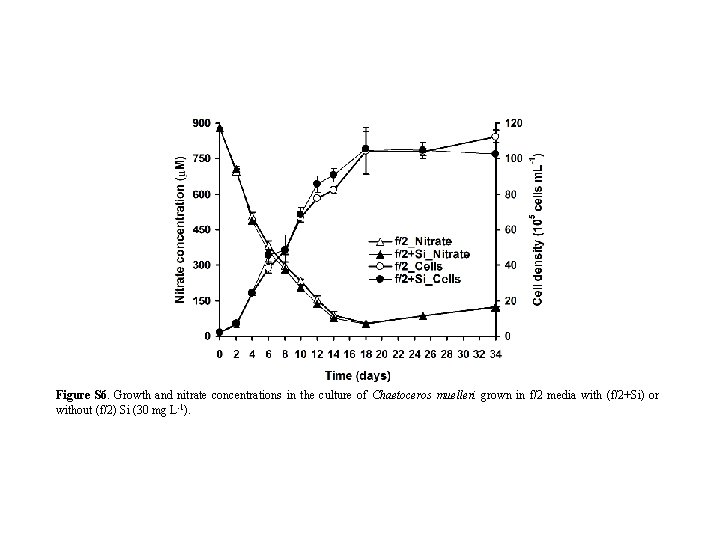 Figure S 6. Growth and nitrate concentrations in the culture of Chaetoceros muelleri grown