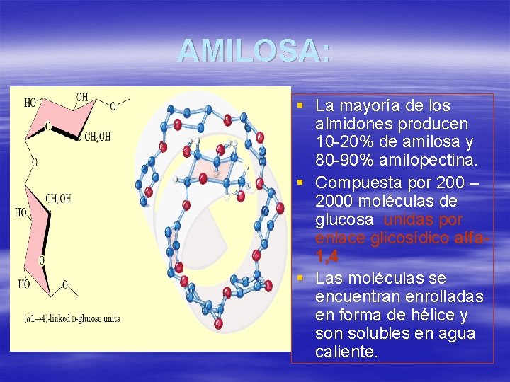 AMILOSA: § La mayoría de los almidones producen 10 -20% de amilosa y 80