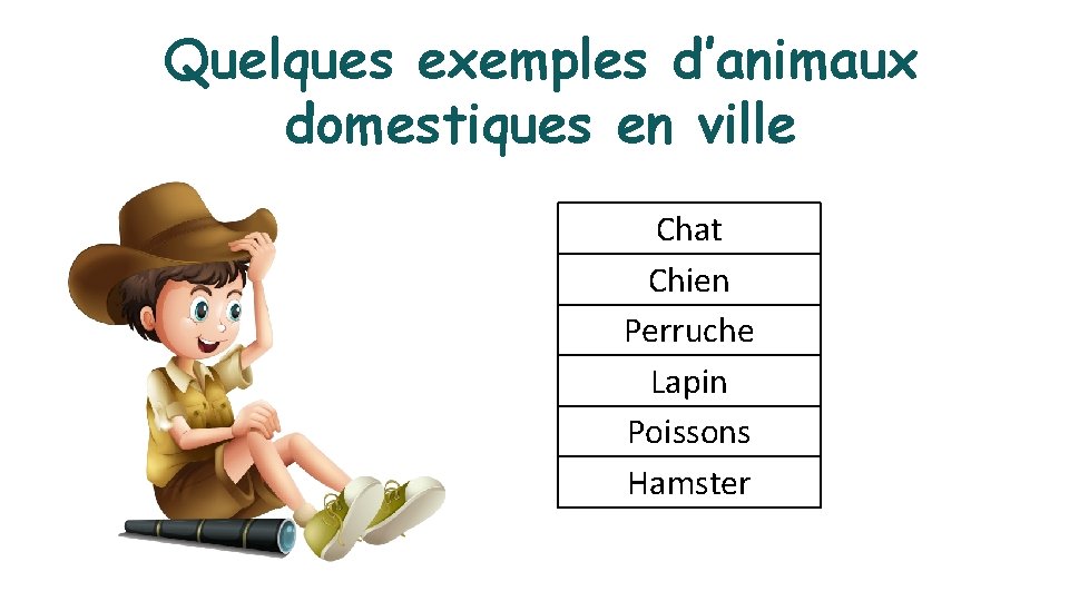 Quelques exemples d’animaux domestiques en ville Chat Chien Perruche Lapin Poissons Hamster 