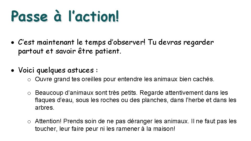 Passe à l’action! C’est maintenant le temps d’observer! Tu devras regarder partout et savoir