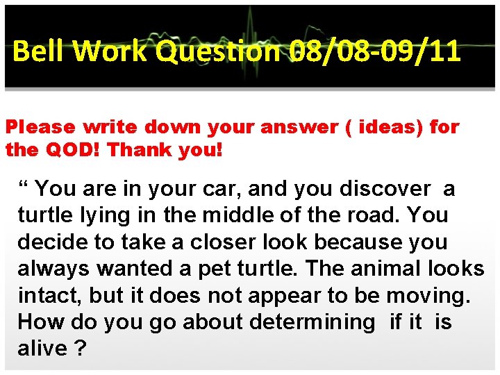 Bell Work Question 08/08 -09/11 Please write down your answer ( ideas) for the