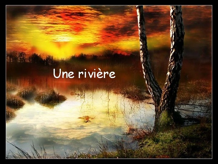 Une rivière 