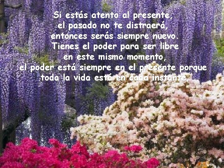 Si estás atento al presente, el pasado no te distraerá, entonces serás siempre nuevo.