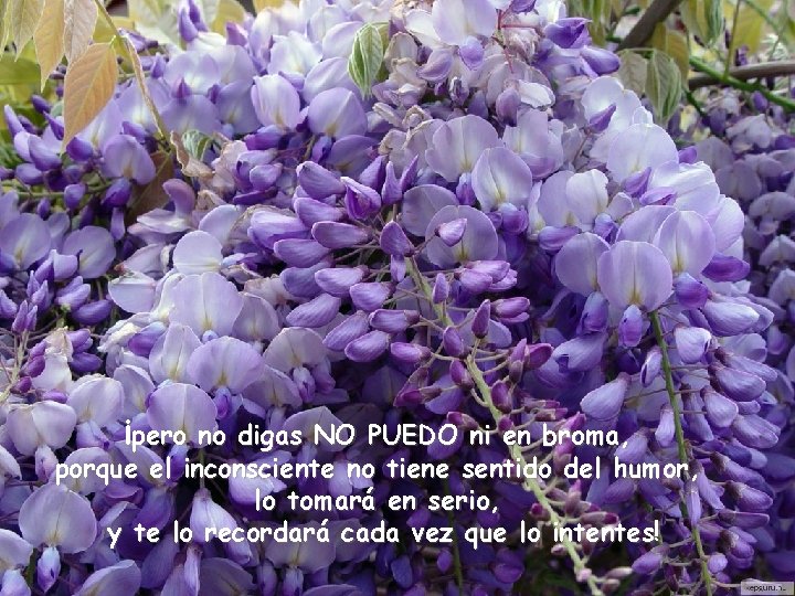 ¡pero no digas NO PUEDO ni en broma, porque el inconsciente no tiene sentido
