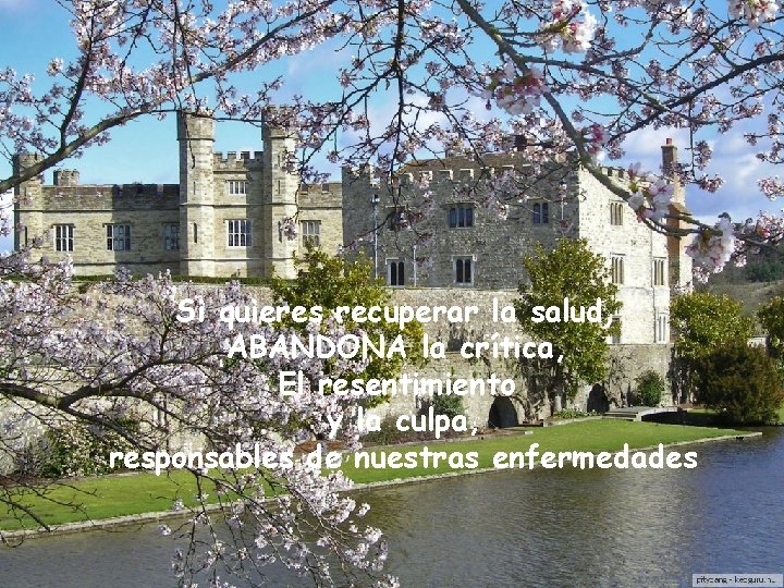 Si quieres recuperar la salud, ABANDONA la crítica, El resentimiento y la culpa, responsables