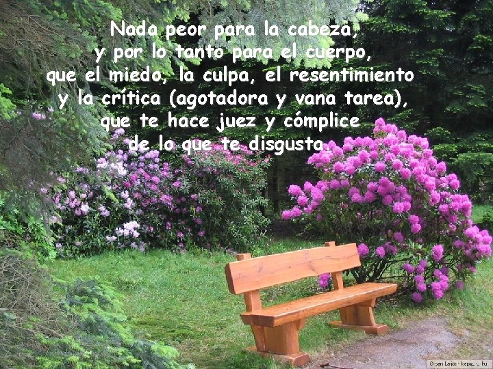 Nada peor para la cabeza, y por lo tanto para el cuerpo, que el