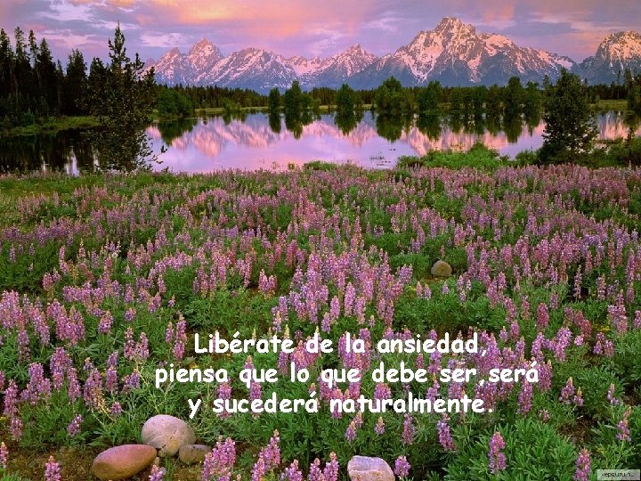 Libérate de la ansiedad, piensa que lo que debe ser, será y sucederá naturalmente.