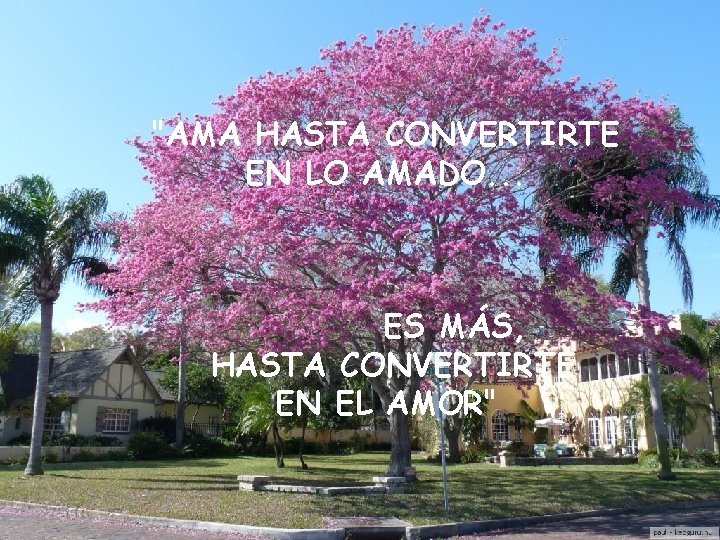 "AMA HASTA CONVERTIRTE EN LO AMADO. . . ES MÁS, HASTA CONVERTIRTE EN EL