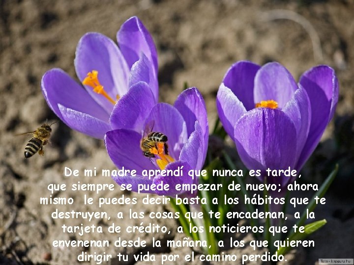 De mi madre aprendí que nunca es tarde, que siempre se puede empezar de