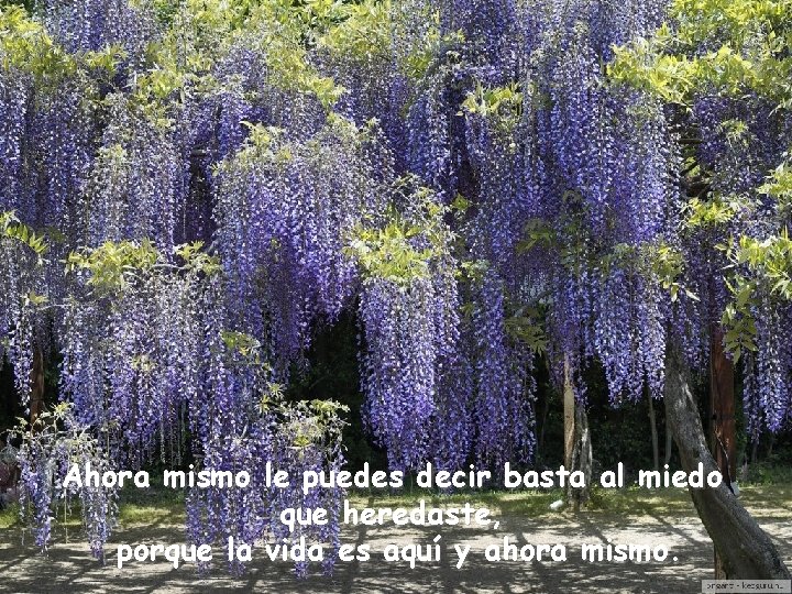 Ahora mismo le puedes decir basta al miedo que heredaste, porque la vida es