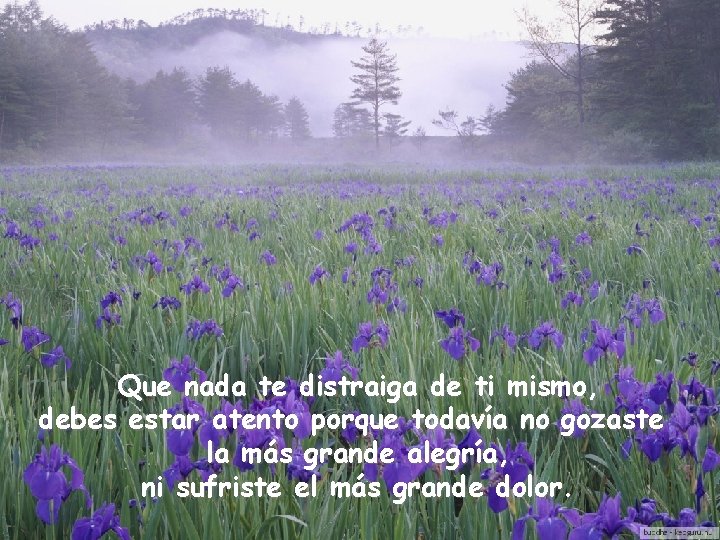 Que nada te distraiga de ti mismo, debes estar atento porque todavía no gozaste