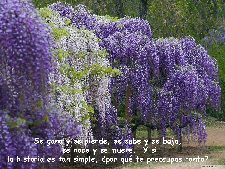 Se gana y se pierde, se sube y se baja, se nace y se